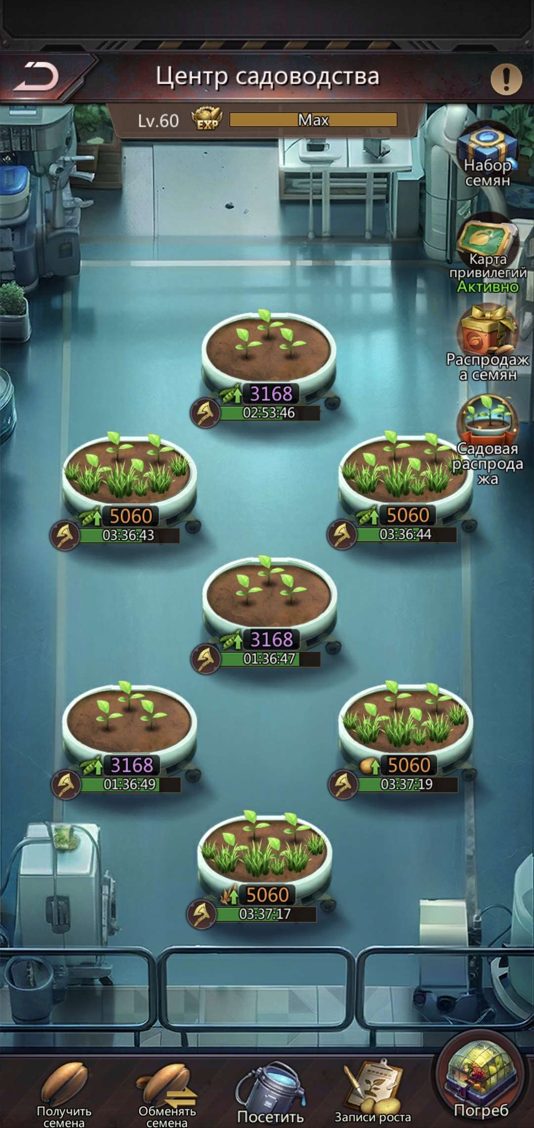 продажа аккаунта к игре Puzzles & Survival